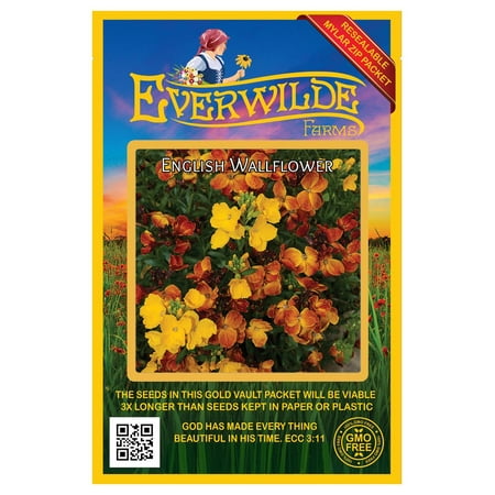 Everwilde Farms - 1000 graines de fleurs de jardin de giroflée anglaise - Paquet de graines en vrac Jumbo Gold Vault