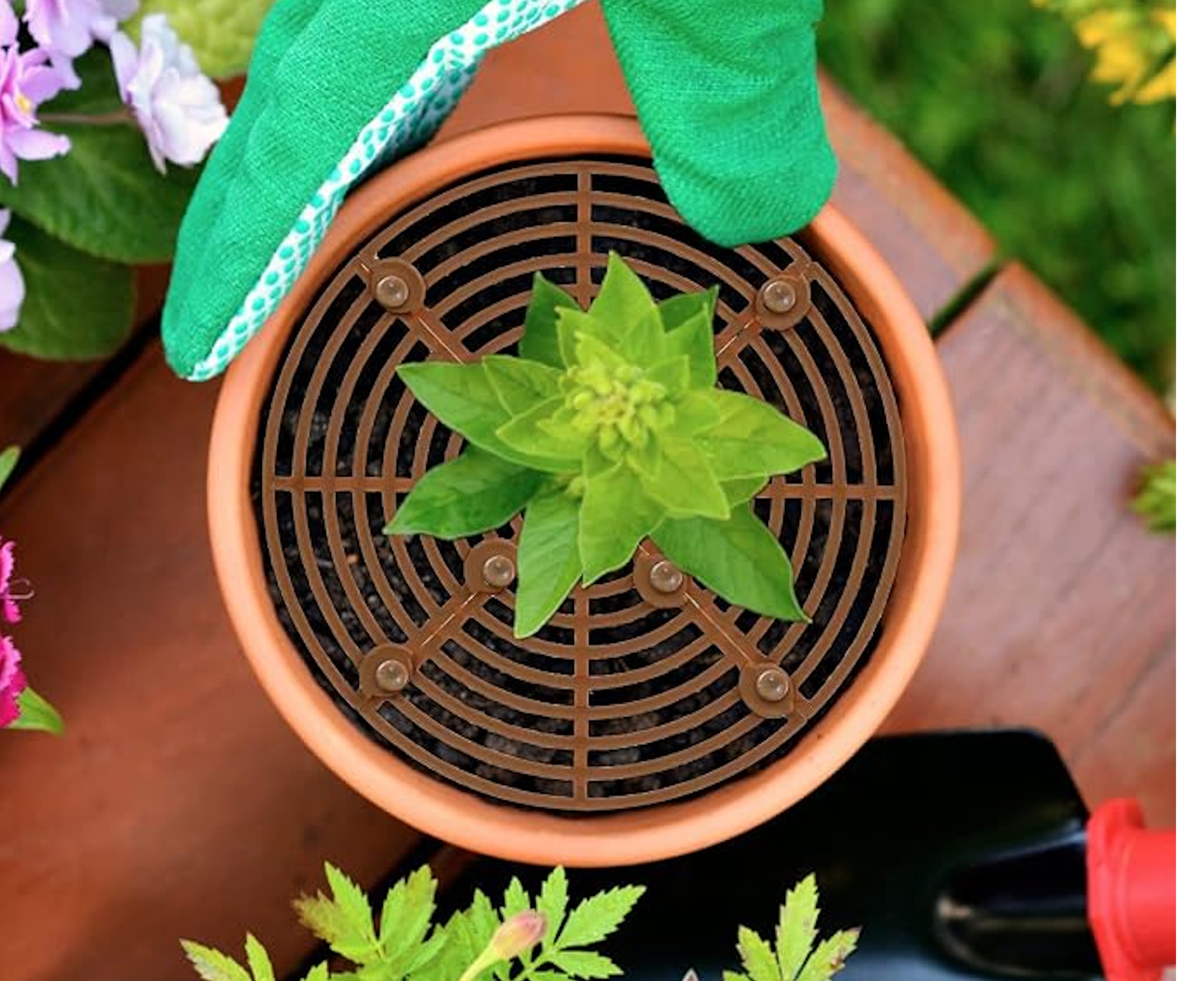 Grille de pot de fleurs Amazon