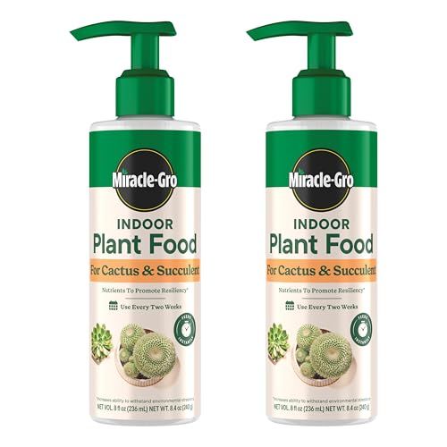 Miracle-Gro Engrais pour plantes d'intérieur pour cactus et plantes succulentes, paquet de 2