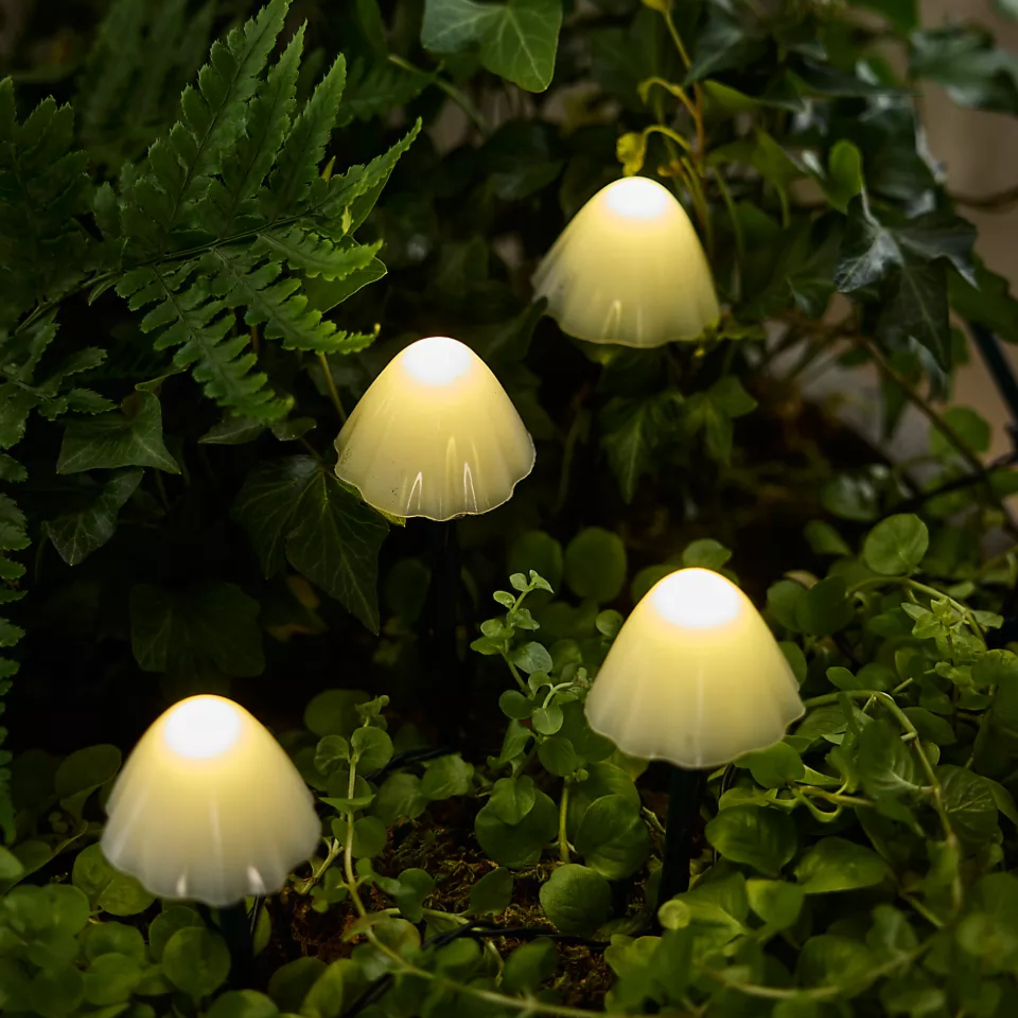 un éclairage de jardin solaire unique