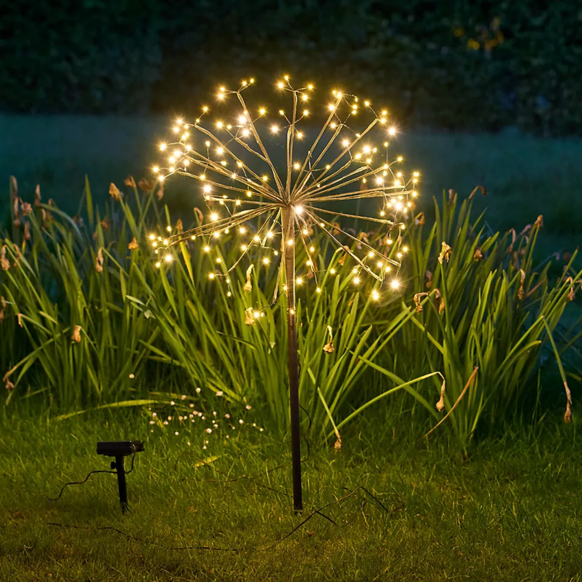 une lampe de jardin solaire unique