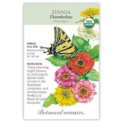 Graines de Poucette Zinnia