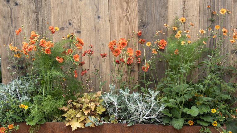 La jardinière surélevée à arrosage automatique de Costco vous permet de cultiver un potager même dans la plus petite cour – et élimine le stress lié à l'arrosage