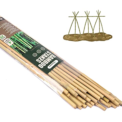 Cambaverd Lot de 25 piquets en bambou naturels pour tomates, haricots, plantes grimpantes - 1,2 m
