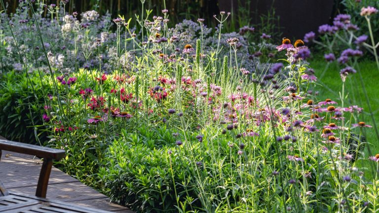 En tant que jardinier professionnel, j’utilise toujours une lance d’arrosage – c’est le moyen le plus efficace et le plus simple d’arroser les plantes, surtout en cas de canicule. En tant que jardinier professionnel, j'utilise toujours une lance d'arrosage – c'est le moyen le plus efficace et le plus simple d'arroser les plantes, surtout en cas de canicule.