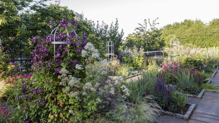 Taillez ces plantes en juillet pour plus de fleurs, de plus grosses récoltes et un meilleur jardin l’année prochaine Taillez ces plantes en juillet pour plus de fleurs, de plus grosses récoltes et un meilleur jardin l'année prochaine