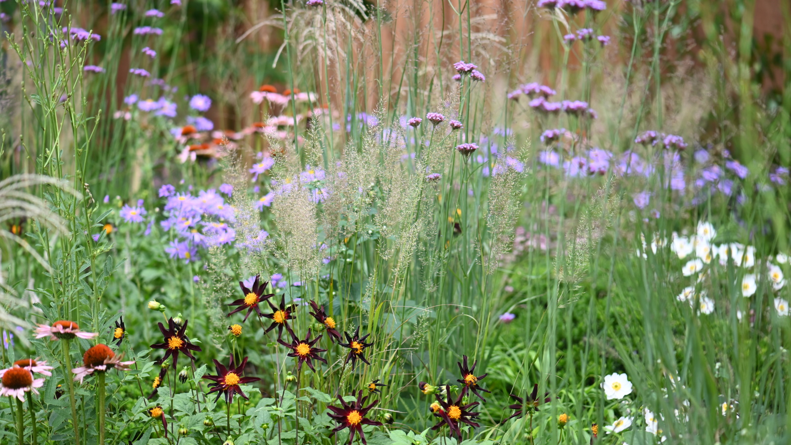 Plantation dans les prairies