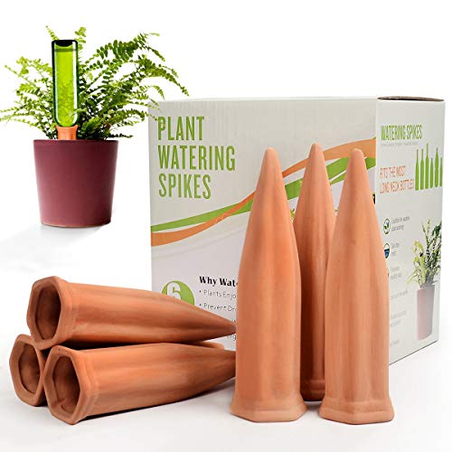B Sepor Lot de 6 abreuvoirs en céramique pour plantes en terre cuite avec pointes d'arrosage automatique pour bouteille de vin, dispositifs d'arrosage pour plantes pour les vacances (6 paquets)