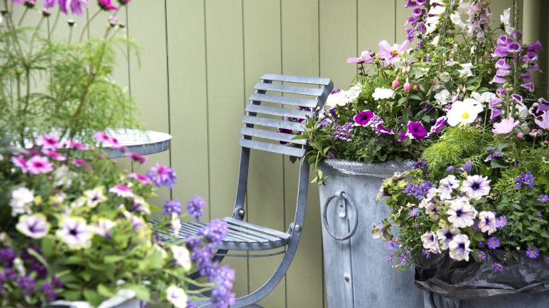 Comment protéger les plantes en pot du temps chaud – 5 façons de protéger votre terrasse contre la chaleur Les meilleurs outils pour garder les petits jardins hydratés en cas de canicule – ils facilitent l’arrosage et n’occupent pas d’espace précieux