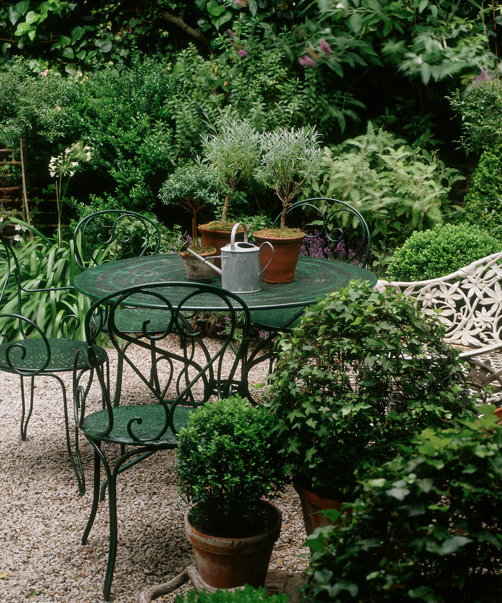 Idées de plantation de terrasse
