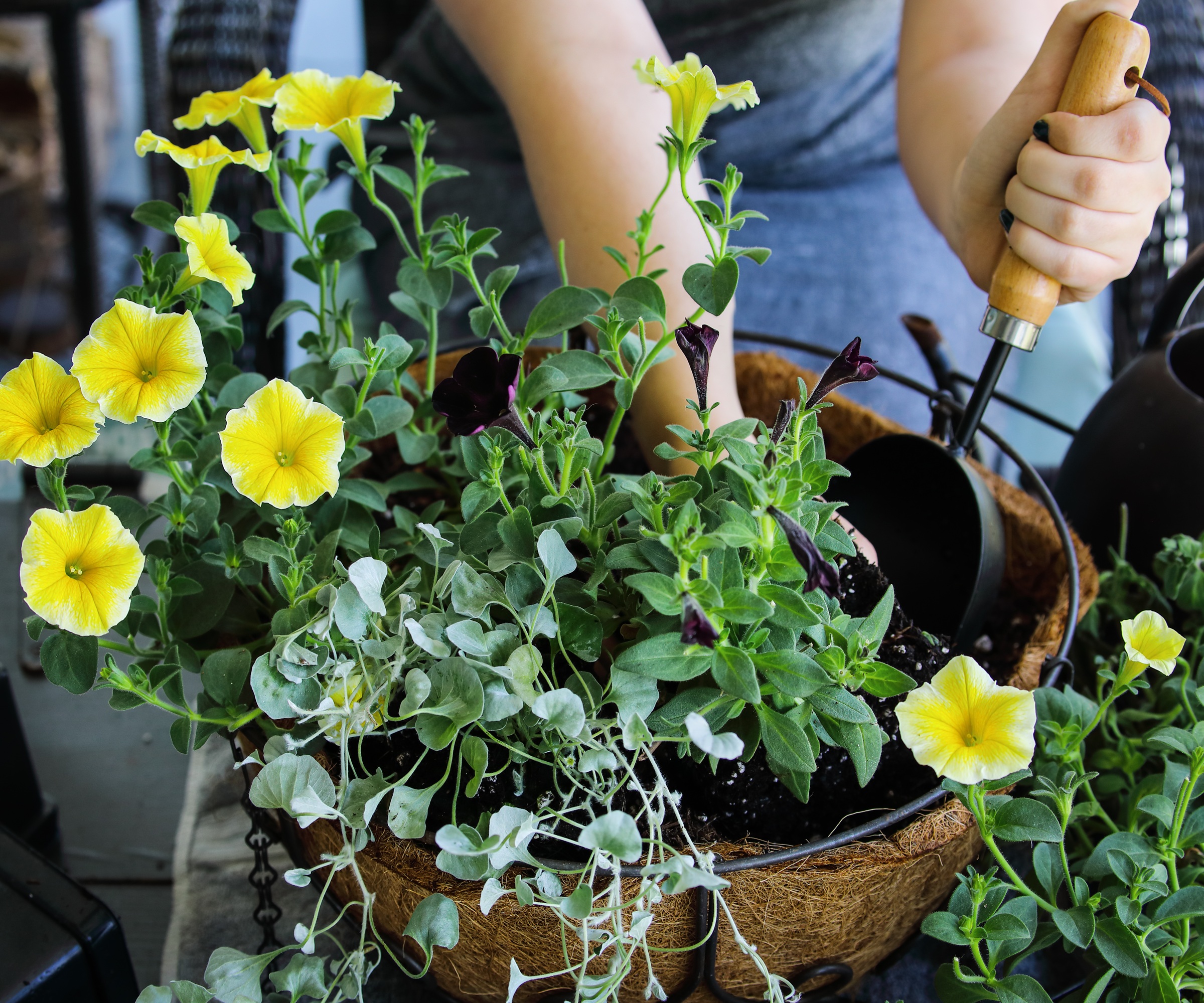 planter un panier suspendu