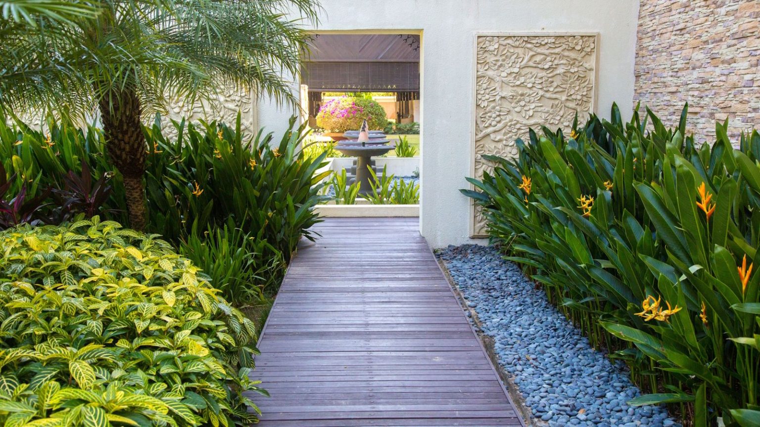 Tropical plants