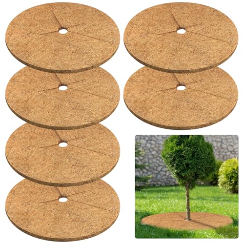 Legigo Lot de 6 anneaux de paillis en fibre de coco pour plantes d'arbre, 61 cm, anneau de paillis naturel, couverture de sol pour pot de fleurs, anneaux d'arbre, couverture végétale pour plantes d'intérieur et d'extérieur, aménagement paysager