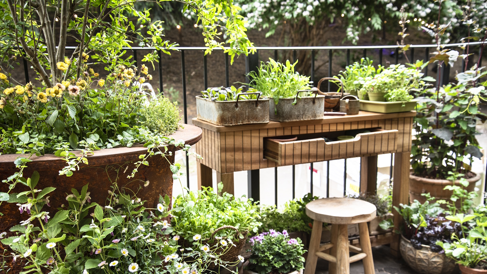 Jardinières vintage sur un bureau en bois à côté de grands pots et jardinières sur un balcon de ville
