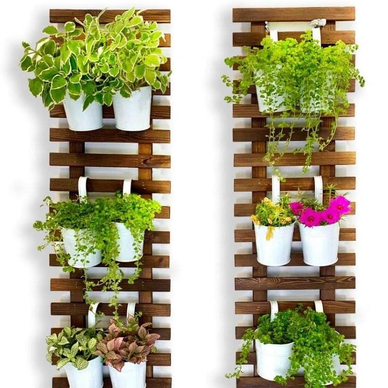 Jardinière murale suspendue Amazon
