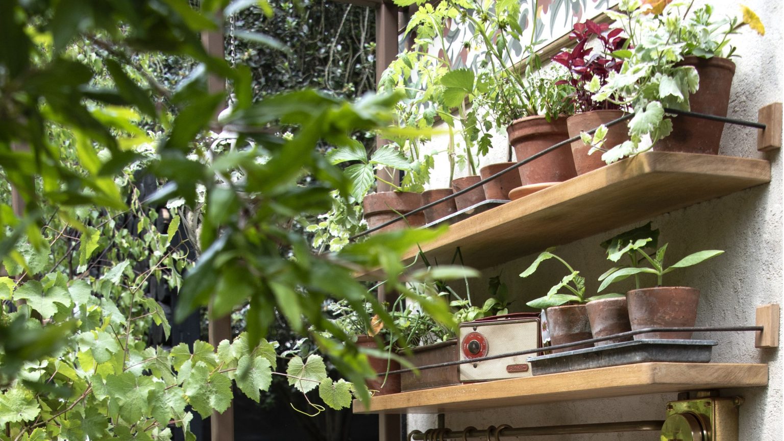 La liste de contrôle du jardin de juillet sans effort : 5 travaux rapides et faciles qui garderont votre jardin à son meilleur L'étagère à plusieurs niveaux d'IKEA à 35 $ sert également de support pour plantes intelligent pour créer plus d'espace de croissance sur votre terrasse