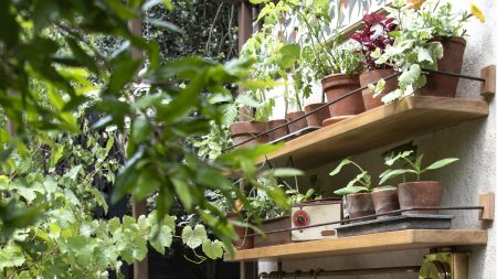 L'étagère à plusieurs niveaux d'IKEA à 35 $ sert également de support pour plantes intelligent pour créer plus d'espace de croissance sur votre terrasse