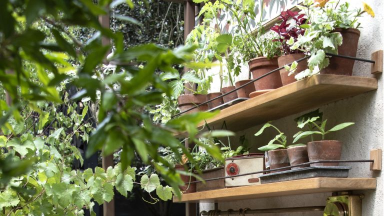 L'étagère à plusieurs niveaux d'IKEA à 35 $ sert également de support pour plantes intelligent pour créer plus d'espace de croissance sur votre terrasse