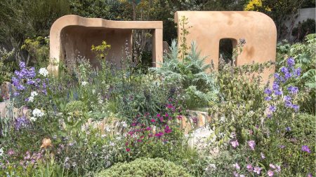 7 plantes tolérantes à la sécheresse à cultiver à la place des hortensias pour un jardin d'été nécessitant moins d'entretien