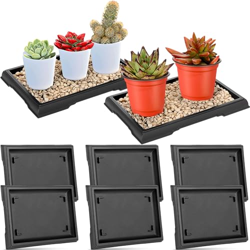 Pinkunn Lot de 2 bacs d'humidité pour bonsaï rectangulaires en plastique pour plantes, collecteur d'eau, soucoupes pour plantes d'intérieur et d'extérieur, cactus, plantes grasses, bonsaï, pierre non incluse (7,8 x 5,5 pouces)