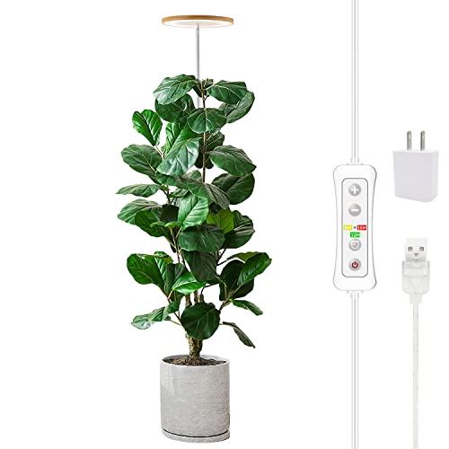 Yadoker Lampe de culture LED à spectre complet pour plantes d'intérieur, hauteur réglable, minuterie automatique, basse tension de sécurité 5 V, idée pour les grandes plantes