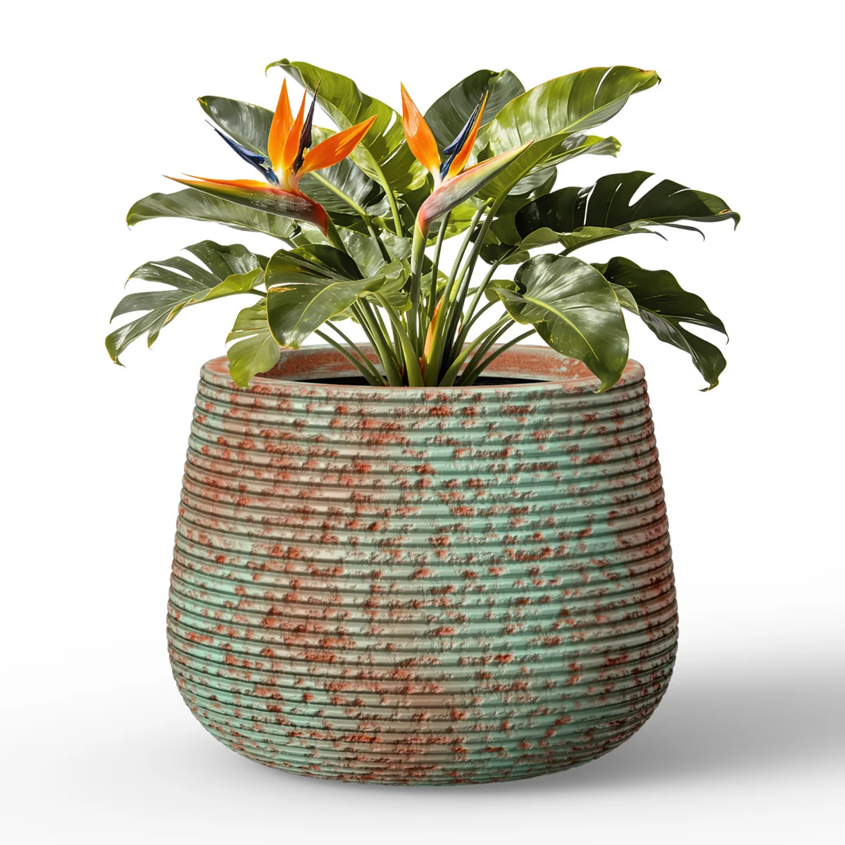 Grande jardinière Wayfair