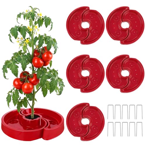5 ensembles de plateaux d'arrosage de tomates, plateau automatique de tomates rouges environnantes, plateaux d'irrigation des racines pour légumes, réduction du ruissellement, contrôle des mauvaises herbes, stimulation de la croissance des tomates, poivrons et amp; Légumes du jardin