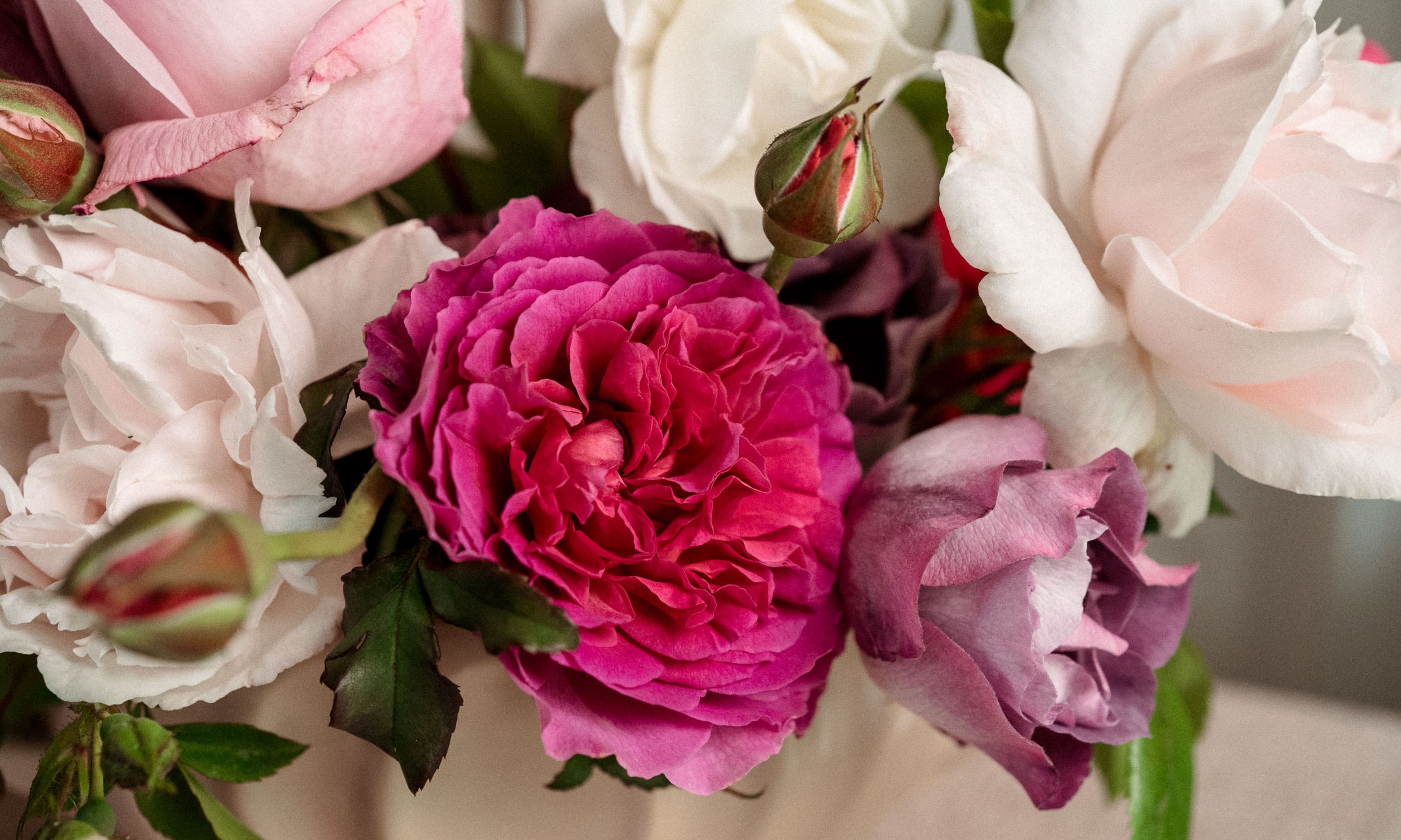 motif floral rose de jardin dans un vase vintage rose