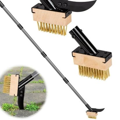 Brosse à mauvaises herbes et à mousse 
