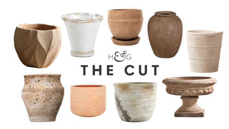 The Cut Terracotta Planters hero image