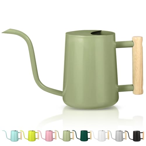 Arrosoir pour plantes d'intérieur, petit arrosoir d'intérieur en métal en acier inoxydable, pot d'arrosage décoratif moderne avec long bec pour plantes d'intérieur, bonsaï, fleurs de jardin (vert sauge)