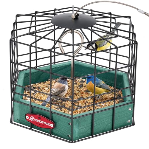 Mangeoires à oiseaux à plateforme anti-écureuil Kingsyard pour suspension extérieure, 10