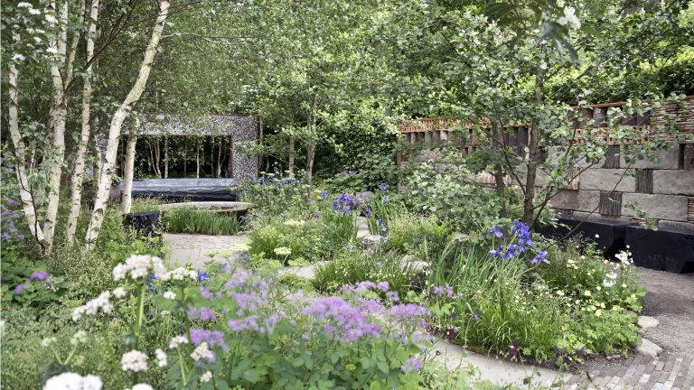 9 plantes qui prennent soin d’elles-mêmes en juillet – et qui volent toujours la vedette, même en cas de sécheresse