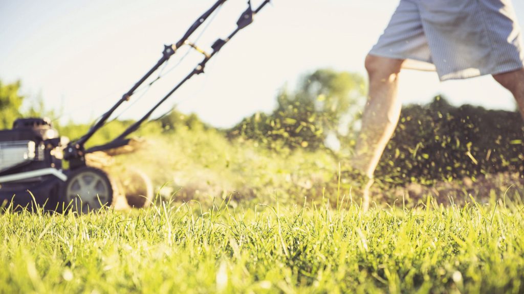 Pourquoi devriez-vous commencer à « recycler l'herbe » cette semaine – C'est le secret d'une pelouse d'été hydratée