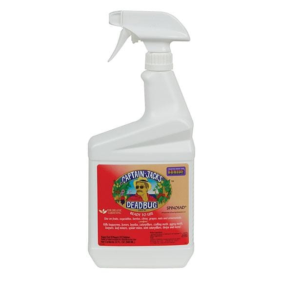 Captain Jack's Deadbug Brew - 16 oz. (se concentrer)
