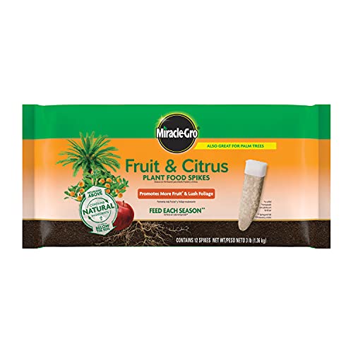 Miracle-Gro Fruits &amp; Pointes de nourriture pour plantes d'agrumes