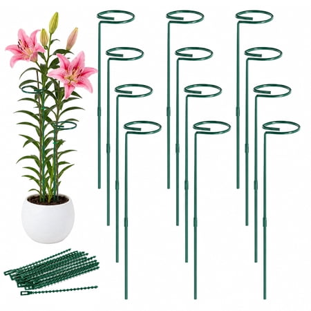 Slumlove 24 po piquets de support pour plantes en métal vert, paquet de 12, piquets de jardin à anneau en spirale de 4,5 mm avec attaches pour plantes