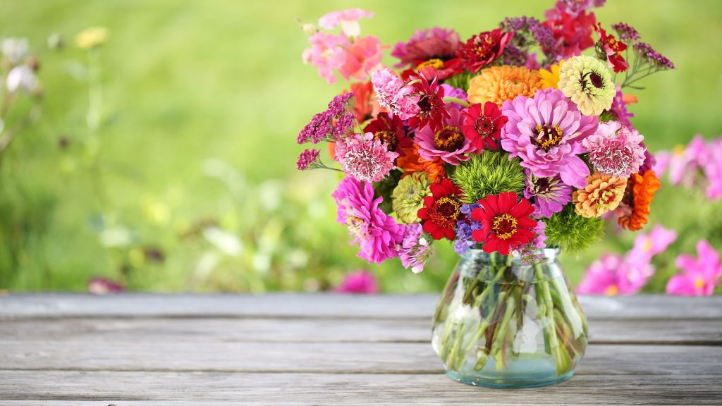 Ce dont les zinnias ont réellement besoin en juillet – 5 tâches essentielles pour que ces beautés vibrantes continuent de fleurir Ce dont les zinnias ont réellement besoin en juillet – 5 tâches essentielles pour que ces beautés vibrantes continuent de fleurir