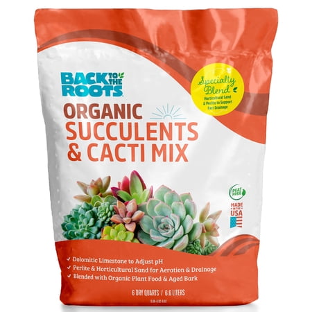 Retour aux racines 100 % biologiques succulentes et amp;amp; Mélange de cactus (6 litres)