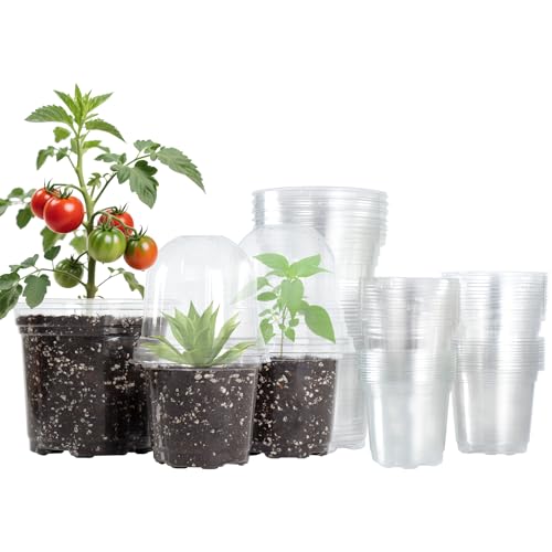 Bluepro 36 paquets de pots de pépinière transparents de 5/4/3,5 pouces avec dômes d'humidité, pots de plantes transparents avec trous de drainage, pots de semis variés pour la propagation des légumes, la coupe des racines, le démarrage des graines