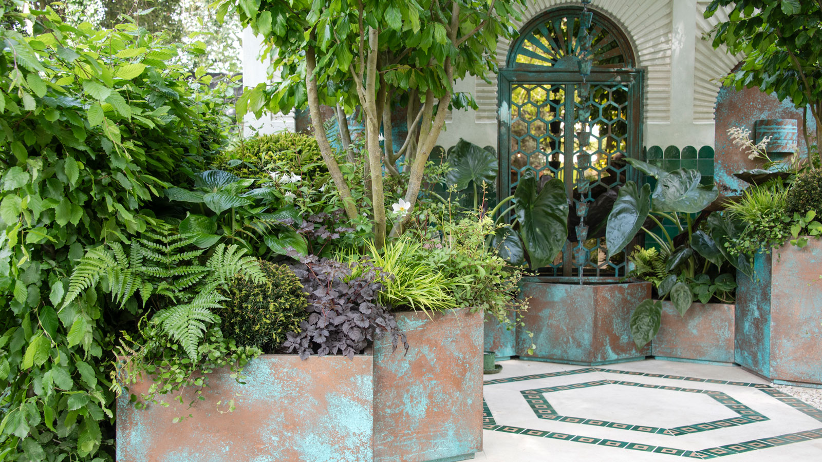 jardin de cour comprenant de grands conteneurs plantés d'arbres et d'autres plantes, avec un patio pavé