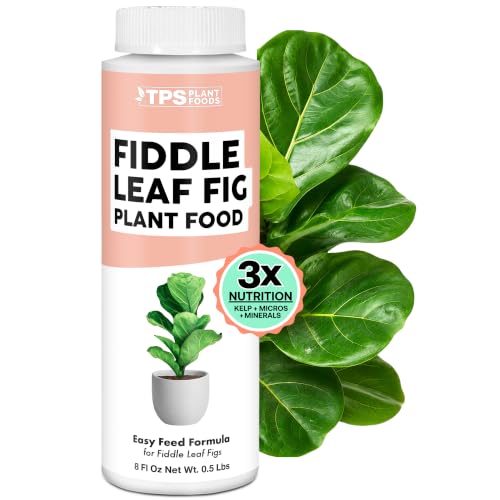Engrais pour plantes à figuier à feuilles de violon et ndash; Engrais liquide pour des feuilles plus grandes, des racines et des racines plus fortes. Nouvelle croissance saine, 8oz