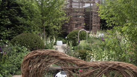 La taille au milieu de l’été peut faire plus de mal que de bien – 5 plantes à ne jamais tailler en juillet