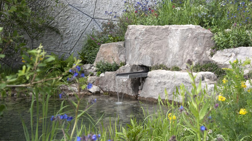 7 façons inattendues de réutiliser l’eau domestique dans la cour lorsque vos barils de pluie sont à sec