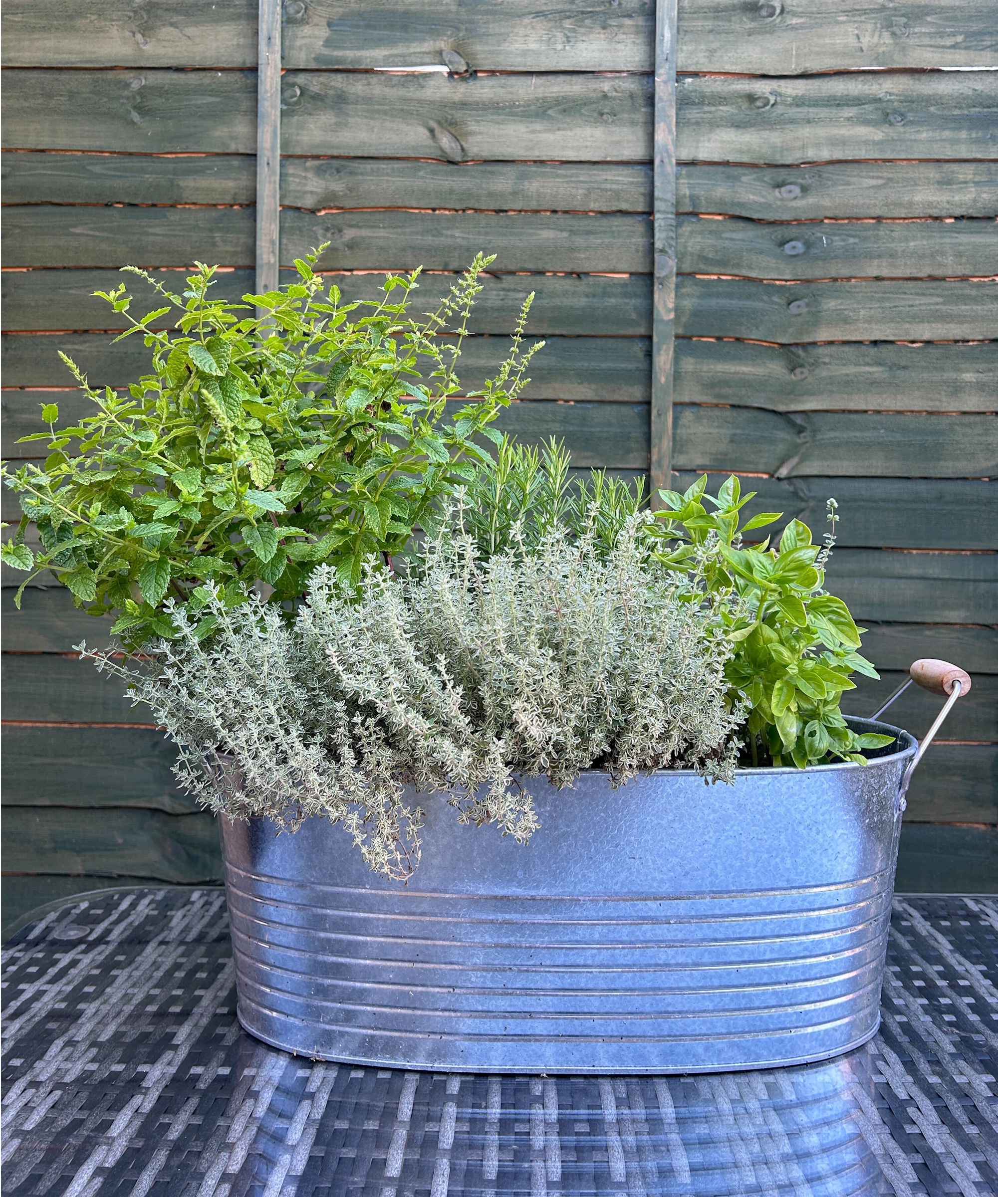 Jardin d'herbes aromatiques dans le pot IKEA KORKGRAN