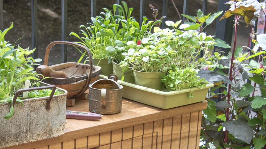 La jardinière en métal à 25 $ d'IKEA donne instantanément à n'importe quelle terrasse un charme de jardin de chalet - et elle est assez grande pour tout un jardin d'herbes aromatiques