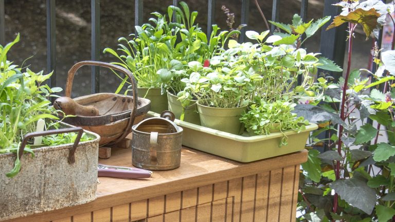 La jardinière en métal à 25 $ d'IKEA donne instantanément à n'importe quelle terrasse un charme de jardin de chalet - et elle est assez grande pour tout un jardin d'herbes aromatiques