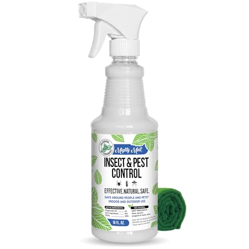 Spray répulsif anti-insectes à l'huile de menthe poivrée Mighty Mint &ndash; Intérieur et extérieur Contrôle des insectes en extérieur pour les araignées, les fourmis, les cafards et plus encore ; Formule extra-forte à base de plantes - 16 oz