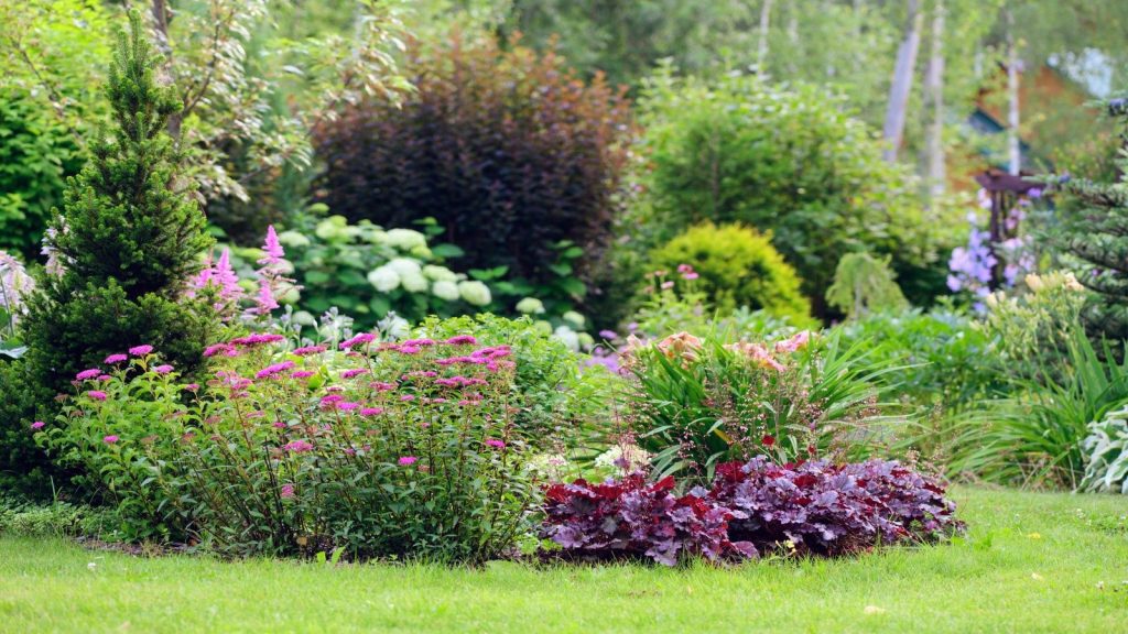 A beautiful summer garden border with a neatly mown and edged lawn
