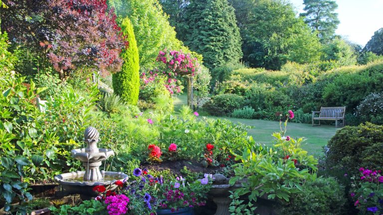 7 fleurs pour entourer votre bain d’oiseaux – Pour un sanctuaire de jardin joyeux que la faune adorera
